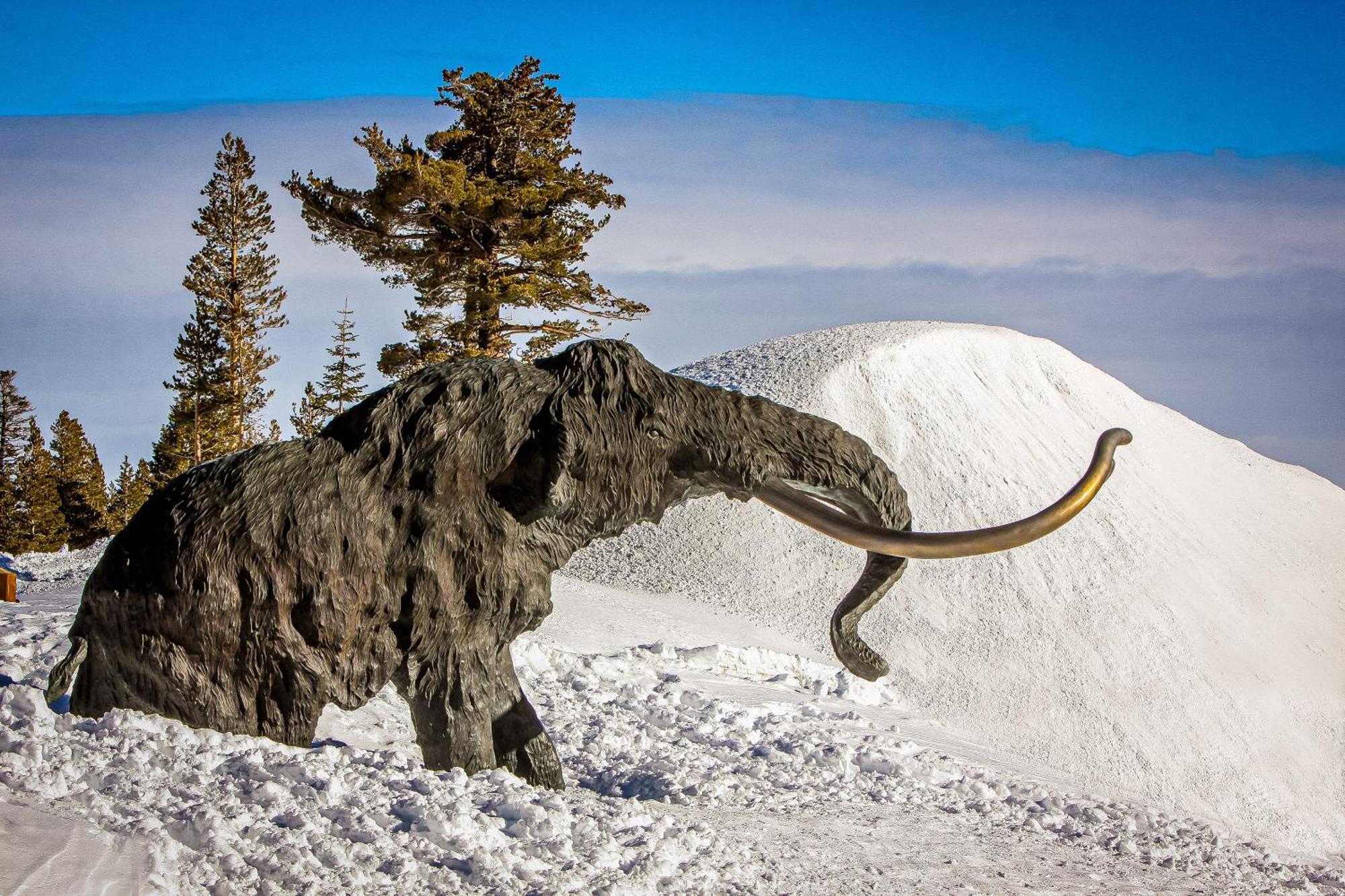 Mammoth Ski & Racquet Club #131 Маммот-Лейкс Екстер'єр фото